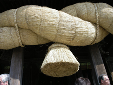 IMGP1155.JPG