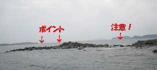 IMG_2446のコピー.jpg
