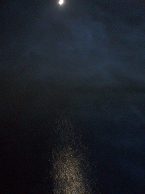 P2052547.JPG
