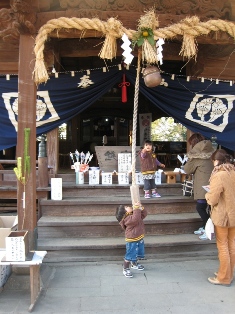 IMG_1877.jpg