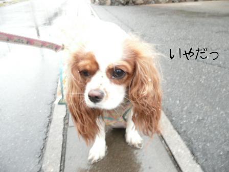 いやだっ