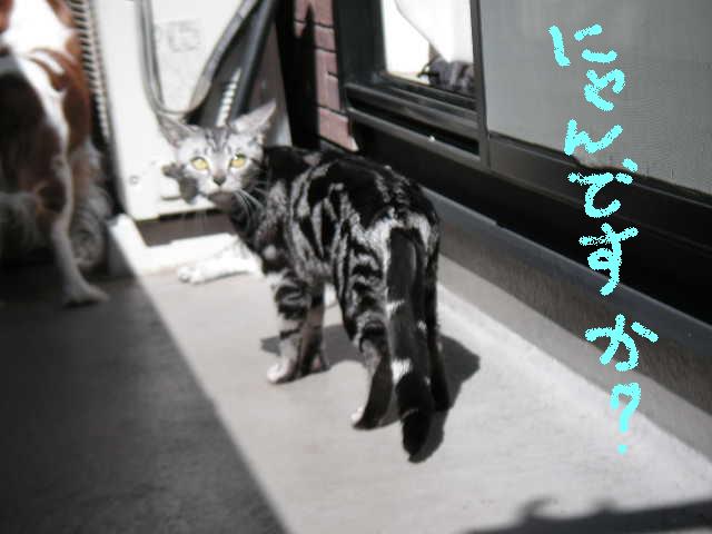 画像 430.jpg
