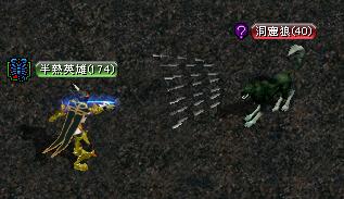 ＤＳ.JPG