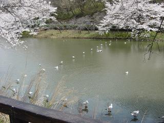 三ツ池公園