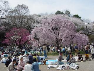 三ツ池公園