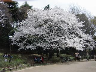 三ツ池公園