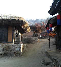 P1000339.JPG