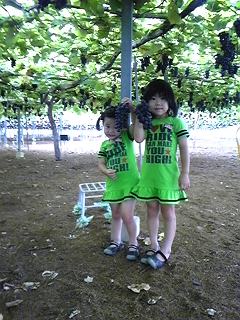 2009-08-05 23:44:58