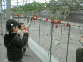 200801211103004.jpg
