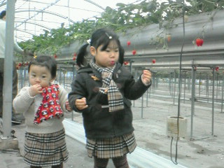 200801211419000.jpg