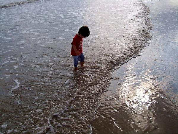 pic3.jpg