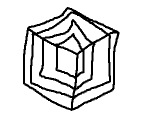 セラのイラスト