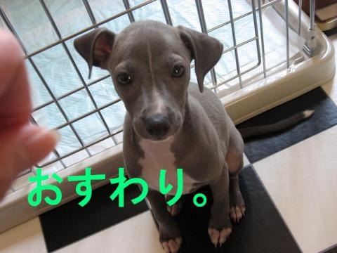 画像 216.jpg