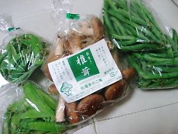 佐倉きのこ、野菜同梱