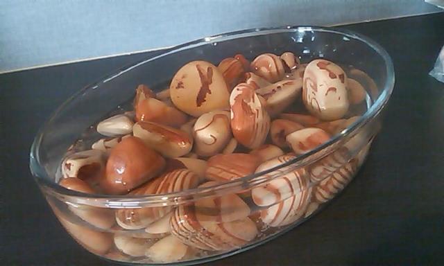 珪藻土
