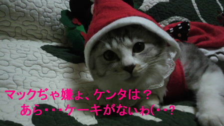 2011_1223うさちゃん1236.JPG