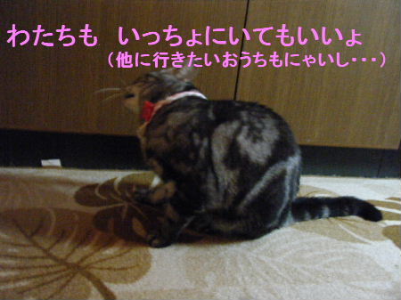 2010_0411うさちゃん0425.JPG