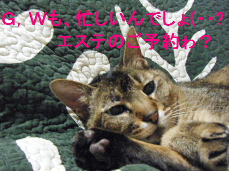 2010_0411うさちゃん0002.JPG