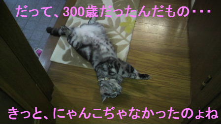 2011_0820うさちゃん0950.JPG