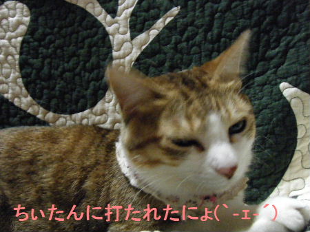 2010_0411うさちゃん0044.JPG