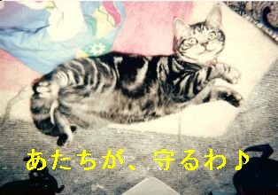 20070619114703.jpg