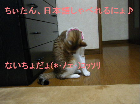 2010_0411うさちゃん0230.JPG