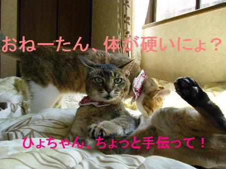 2010_0411うさちゃん0110.JPG