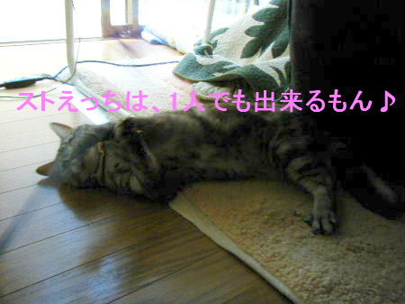 2010_0411うさちゃん0126.JPG