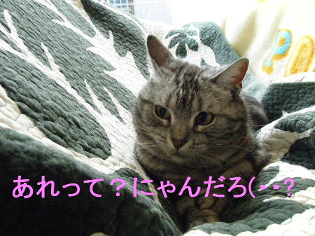 2010_0411うさちゃん0131.JPG