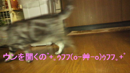 2011_0702うさちゃん0893.JPG