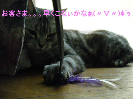 2010_0411うさちゃん0120.JPG