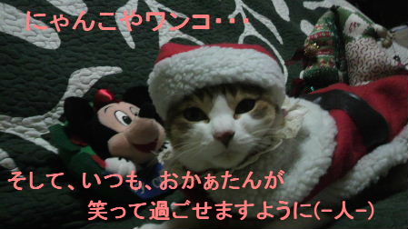 2011_1223うさちゃん1220.JPG