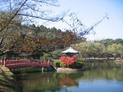 定光寺公園.jpg