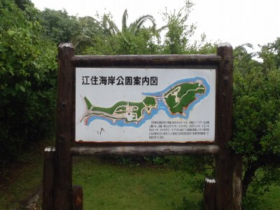 紀南へ行く2011年5月後半19　江住海岸公園