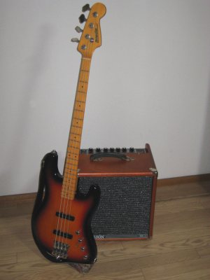 Peterson Bass Ace 100 03