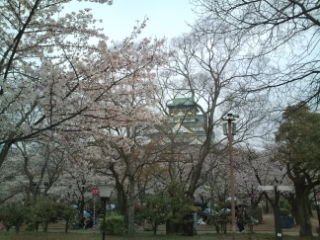 2009花見2.jpg
