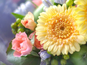 03月の桐谷箱根荘