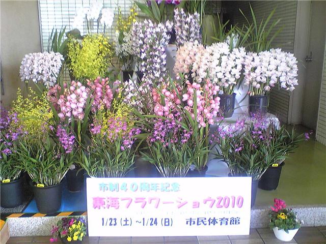9973-1.24東海フラワーショウ2010　市民体育館.jpg
