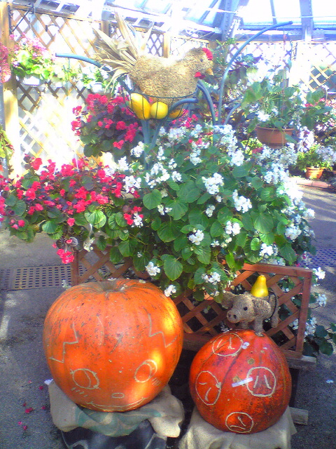 9884-2010.12.23 農業センター11.jpg