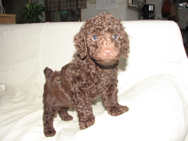 12.15IMG_0100 (10).JPG