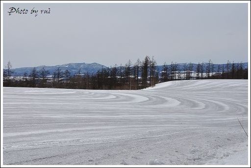 DSC_1066.jpg