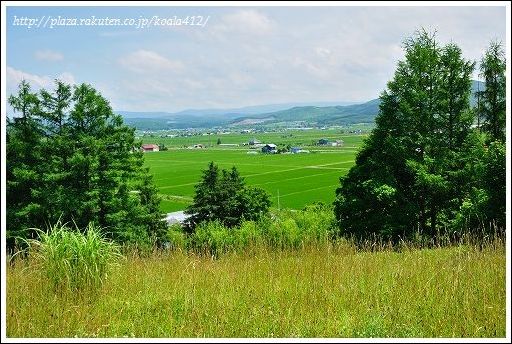 s-DSC_4783.jpg