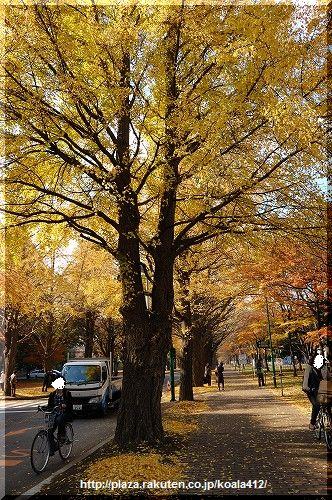 DSC_7399.jpg