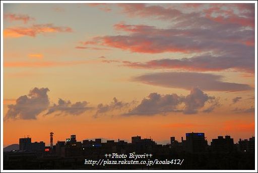 s-DSC_6398.jpg