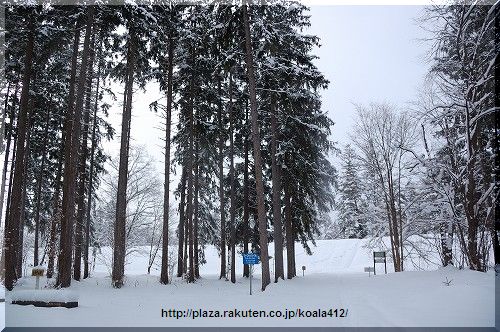 DSC_8093.jpg