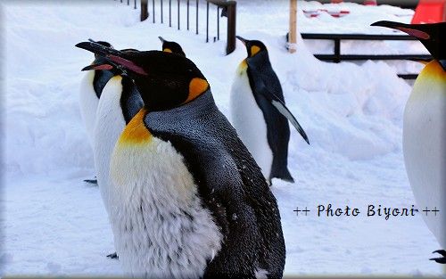 DSC_0479.jpg