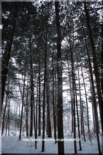 DSC_8113.jpg