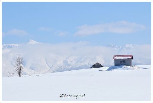 DSC_0644.jpg