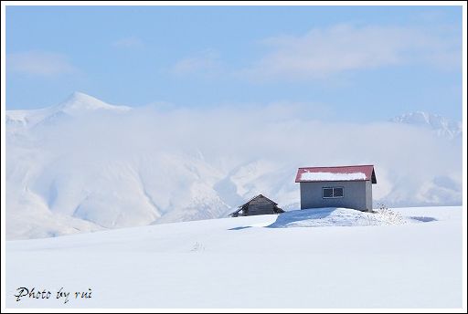 DSC_0648.jpg