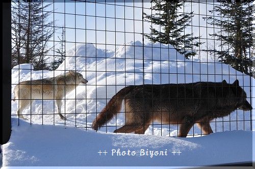 DSC_0759.jpg
